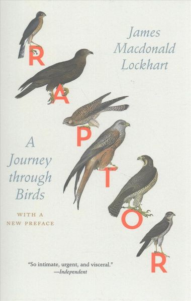 Produktbild: Raptor