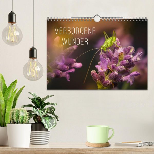 Produktbild: Verborgene Wunder (Wandkalender 2026 DIN A4 quer), CALVENDO Monatskalender