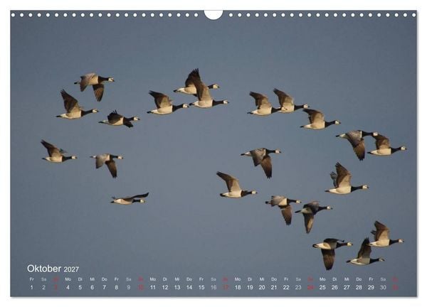 Produktbild: Anblicke und Ausblicke auf Fischland Dar&szlig; (Wandkalender 2027 DIN A3 quer), CALVENDO Monatskalender