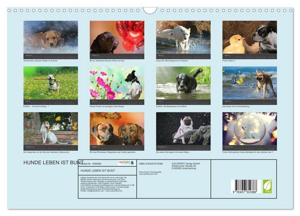 Produktbild: HUNDE LEBEN IST BUNT (Wandkalender 2026 DIN A3 quer), CALVENDO Monatskalender