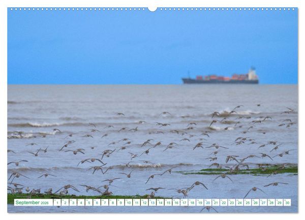 Produktbild: Schillig und Horumersiel - Im Wangerland unterwegs (Wandkalender 2026 DIN A2 quer), CALVENDO Monatskalender