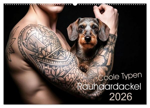 Produktbild: Coole Typen - Rauhaardackel (Wandkalender 2026 DIN A2 quer), CALVENDO Monatskalender