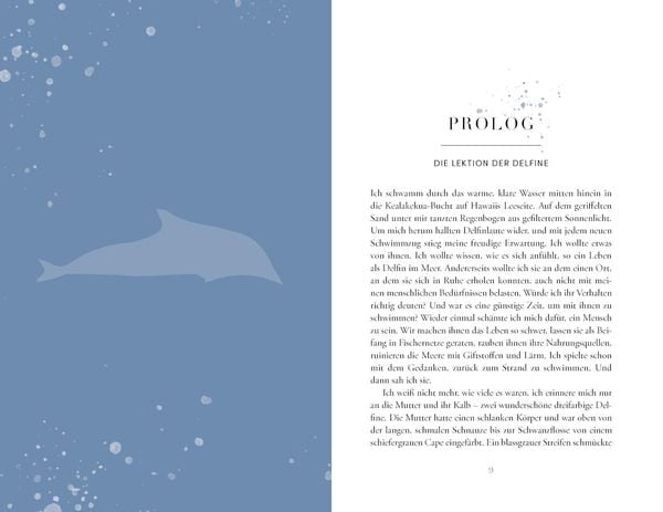 Produktbild: Die Reise der Wale