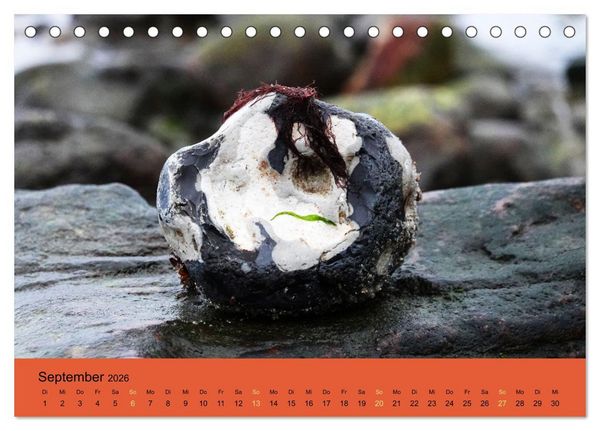 Produktbild: EIN STEIN SEIN (Tischkalender 2026 DIN A5 quer), CALVENDO Monatskalender