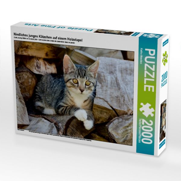 Produktbild: CALVENDO Puzzle Niedliches junges K&auml;tzchen auf einem Holzstapel 2000 Teile Puzzle quer | 2000 Teile Lege-Gr&ouml;&szlig;e 90 &times; 67 cm Foto-Puzzle f&uuml;r gl&uuml;ckliche Stunden