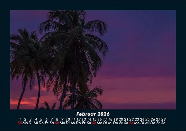 Produktbild: Palmen 2026 Fotokalender DIN A5