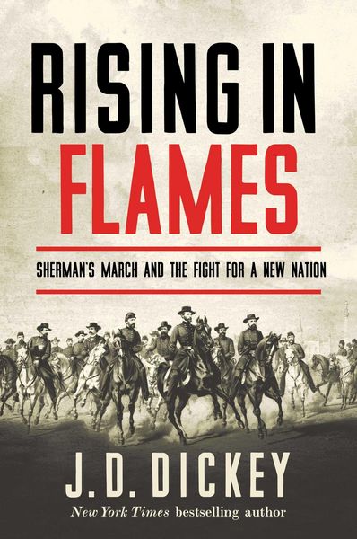 Produktbild: Rising in Flames