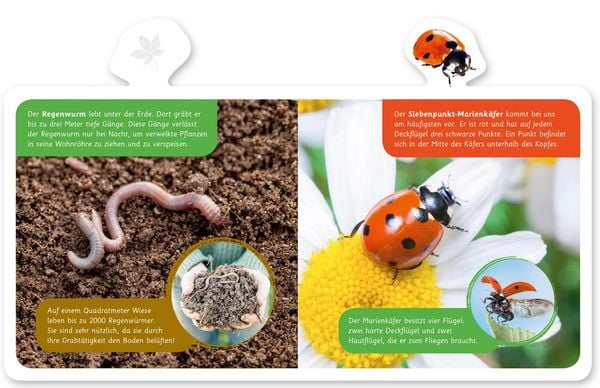 Produktbild: Tiere im Garten