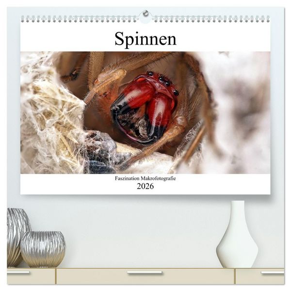 Faszination Makrofotografie: Spinnen (hochwertiger Premium Wandkalender 2026 DIN A2 quer), Kunstdruck in Hochglanz
