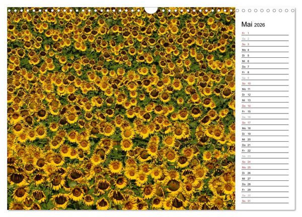 Produktbild: Ein Jahr lang Sonnenblumen (Wandkalender 2026 DIN A3 quer), CALVENDO Monatskalender