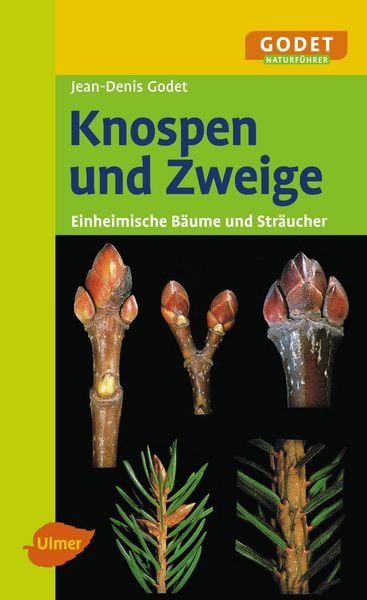 Produktbild: Knospen und Zweige