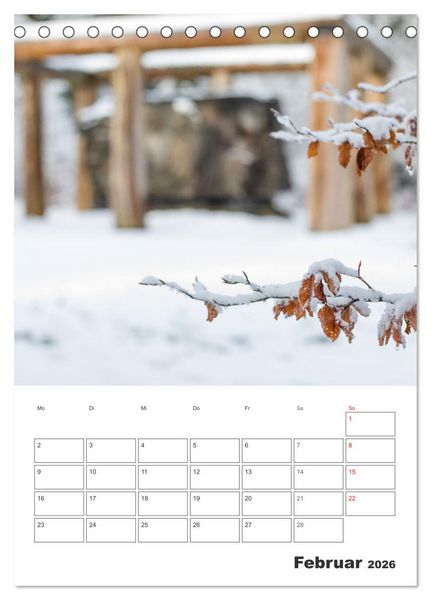 Produktbild: Wittgenstein &ndash; Eine Region mit beeindruckend sch&ouml;ner Landschaft (Tischkalender 2026 DIN A5 hoch), CALVENDO Monatskalender