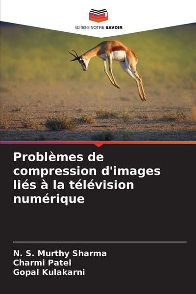 Produktbild: Probl&egrave;mes de compression d'images li&eacute;s &agrave; la t&eacute;l&eacute;vision num&eacute;rique