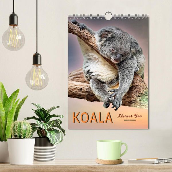 Produktbild: Koala, kleiner B&auml;r (Wandkalender 2026 DIN A4 hoch), CALVENDO Monatskalender