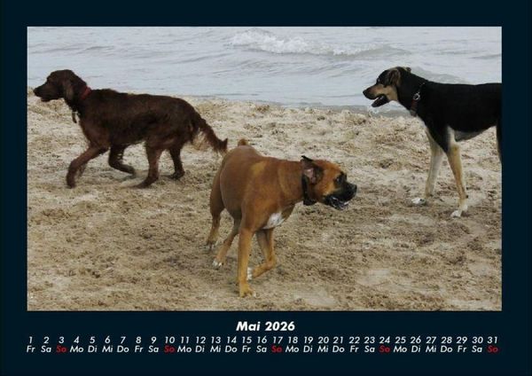Produktbild: Str&auml;nde der Welt 2026 Fotokalender DIN A4