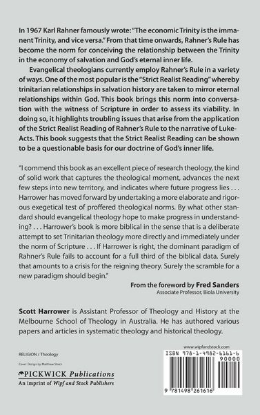 Produktbild: Trinitarian Self and Salvation