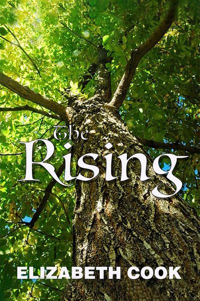 Produktbild: The Rising