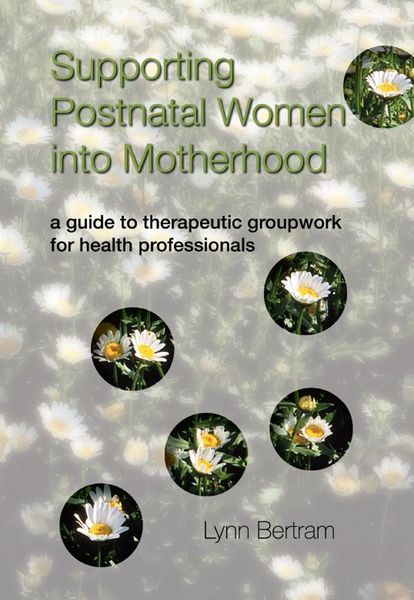 Produktbild: Supporting Postnatal Women into Motherhood