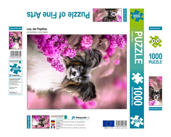 Produktbild: CALVENDO Puzzle Leo, der Papillon 1000 Teile Lege-Gr&ouml;&szlig;e 480 x 640 cm Foto-Puzzle Bild von None boegau-fotos