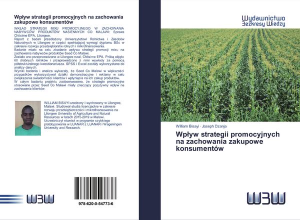 Produktbild: Wp&iquest;yw strategii promocyjnych na zachowania zakupowe konsument&oacute;w