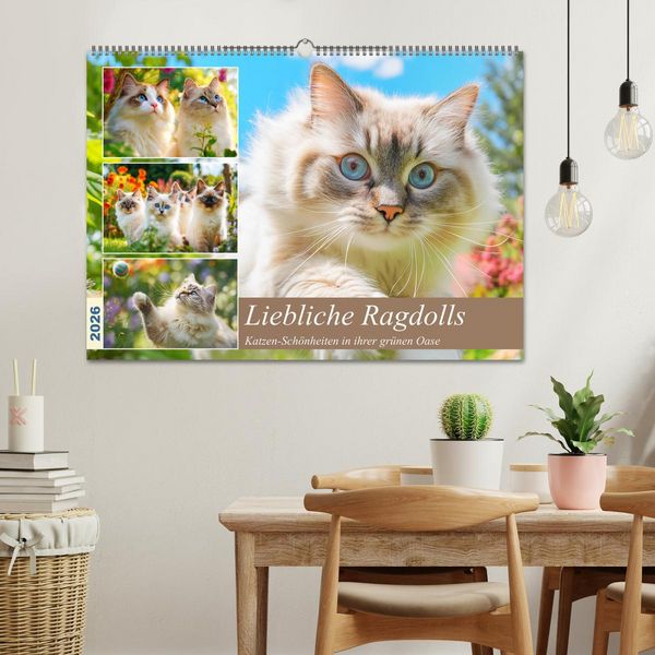 Produktbild: Liebliche Ragdolls. Katzen-Sch&ouml;nheiten in ihrer gr&uuml;nen Oase (Wandkalender 2026 DIN A2 quer), CALVENDO Monatskalender