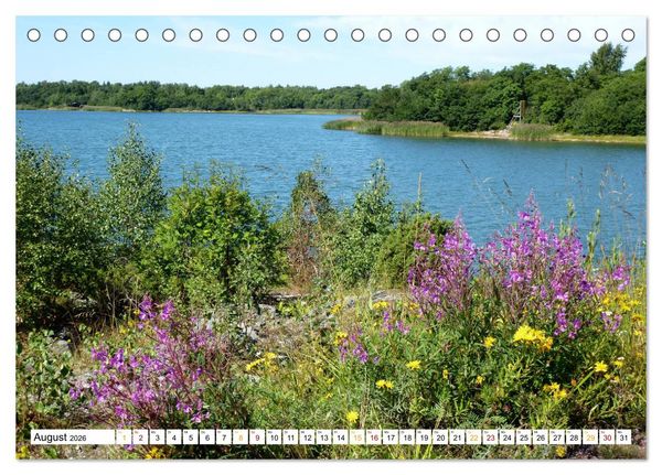 Produktbild: &Aring;landinseln. Sch&auml;rengarten zwischen Finnland und Schweden (Tischkalender 2026 DIN A5 quer), CALVENDO Monatskalender