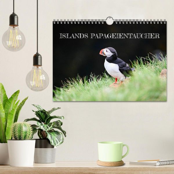 Produktbild: Islands Papageientaucher (Wandkalender 2026 DIN A4 quer), CALVENDO Monatskalender