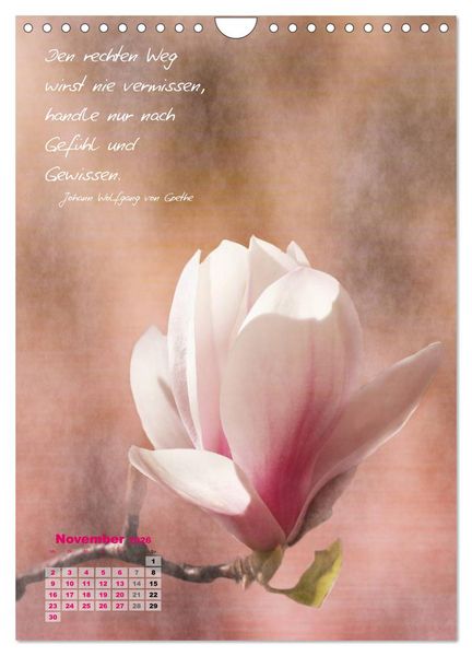 Produktbild: Blumen & Zitate (Wandkalender 2026 DIN A4 hoch), CALVENDO Monatskalender