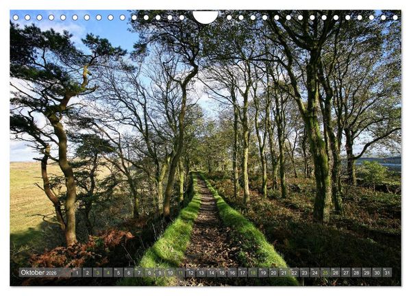 Produktbild: Cumbria (Wandkalender 2026 DIN A4 quer), CALVENDO Monatskalender