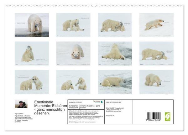 Produktbild: Emotionale Momente: Eisb&auml;ren - ganz menschlich gesehen. (hochwertiger Premium Wandkalender 2026 DIN A2 quer), Kunstdruck in Hochglanz