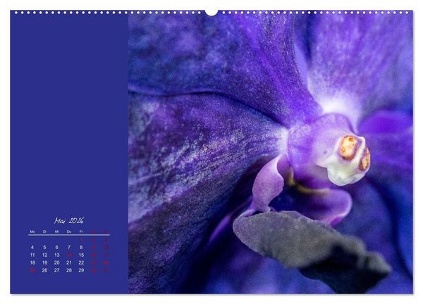 Produktbild: Bl&uuml;tenstil (hochwertiger Premium Wandkalender 2026 DIN A2 quer), Kunstdruck in Hochglanz