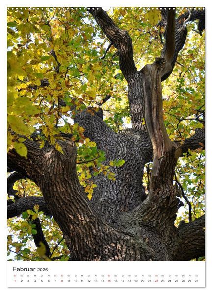 Produktbild: Faszination der Farben im Naturpark Lappwald (Wandkalender 2026 DIN A2 hoch), CALVENDO Monatskalender