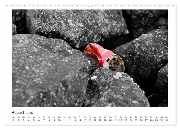 Produktbild: Gestrandet -Treibgut- (hochwertiger Premium Wandkalender 2026 DIN A2 quer), Kunstdruck in Hochglanz
