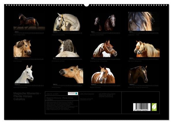 Produktbild: Magische Momente - Pferde Horses Caballos (hochwertiger Premium Wandkalender 2026 DIN A2 quer), Kunstdruck in Hochglanz