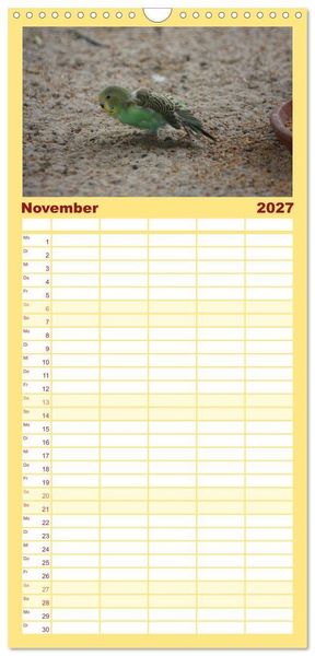 Produktbild: Familienplaner 2027 - Wellensittiche - Gefiederte Freunde mit 5 Spalten (Wandkalender, 21 x 45 cm) CALVENDO