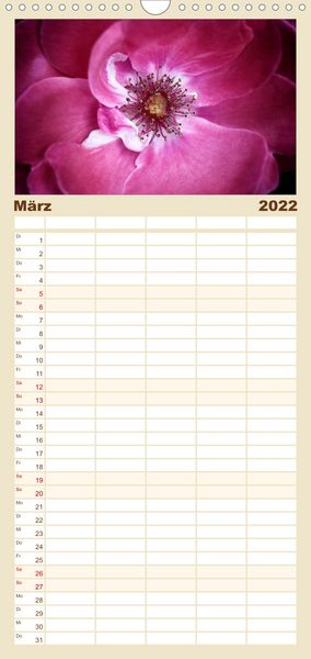 Produktbild: Familienplaner Floral Portraits - Blumen Impression (Wandkalender 2022 , 21 cm x 45 cm, hoch)