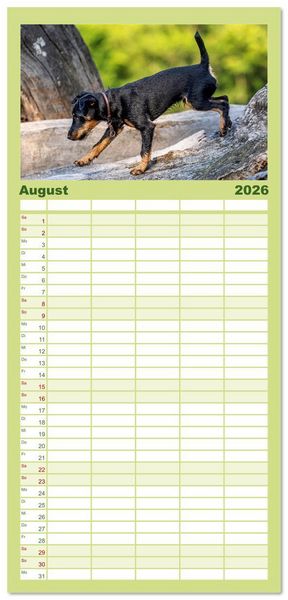 Produktbild: Familienplaner 2026 - Deutscher Terrier - ein leidenschaftlicher J&auml;ger mit 5 Spalten (Wandkalender, 21 x 45 cm) CALVENDO