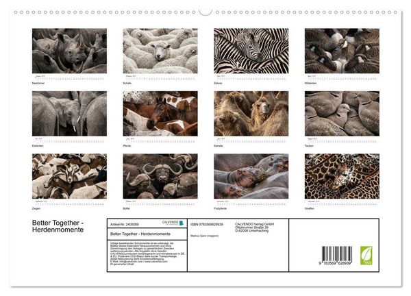 Produktbild: Better Together - Herdenmomente (hochwertiger Premium Wandkalender 2027 DIN A2 quer), Kunstdruck in Hochglanz