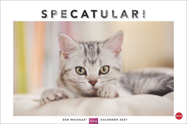 Whiskas Katzenkalender 2027