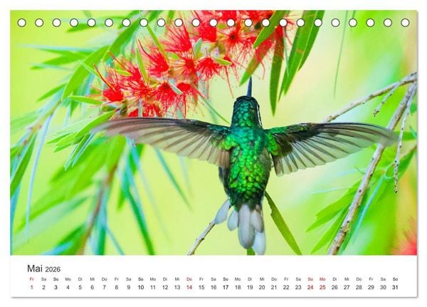 Produktbild: Costa Rica - exotische Tierwelt und unber&uuml;hrte Natur (Tischkalender 2026 DIN A5 quer), CALVENDO Monatskalender
