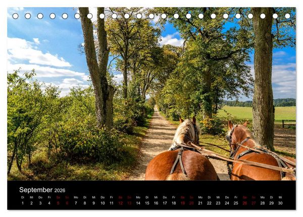 Produktbild: Polen - Reise durch unser sch&ouml;nes Nachbarland (Tischkalender 2026 DIN A5 quer), CALVENDO Monatskalender
