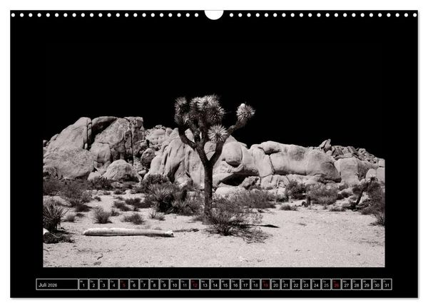 Produktbild: USA - 4000 Meilen S&uuml;dwest Hommage an die gro&szlig;en SW-Fotografen Amerikas (Wandkalender 2026 DIN A3 quer), CALVENDO Monatskalender