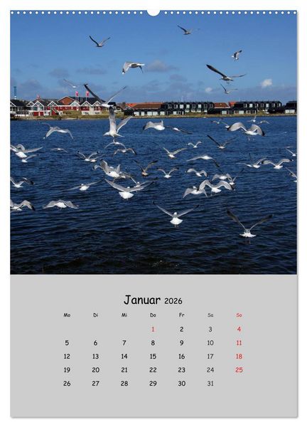 Produktbild: D&auml;nemarks Westk&uuml;ste 2026 (Wandkalender 2026 DIN A2 hoch), CALVENDO Monatskalender