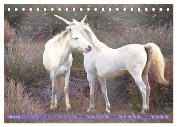 Produktbild: Einhorn Welt - vertr&auml;umte Einhornbilder (Tischkalender 2026 DIN A5 quer), CALVENDO Monatskalender