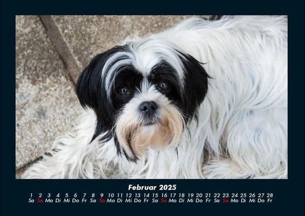 Produktbild: Tierkalender 2025 Fotokalender DIN A4