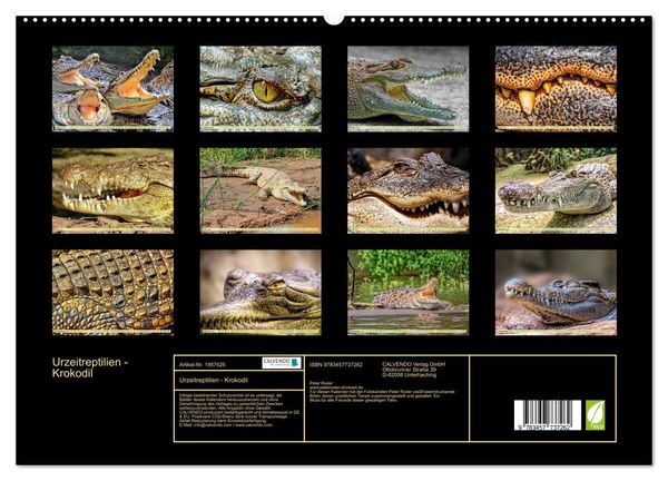 Produktbild: Urzeitreptilien - Krokodil (hochwertiger Premium Wandkalender 2026 DIN A2 quer), Kunstdruck in Hochglanz
