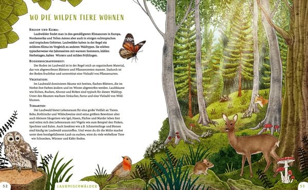 Produktbild: Wir sind die Tiere des Waldes