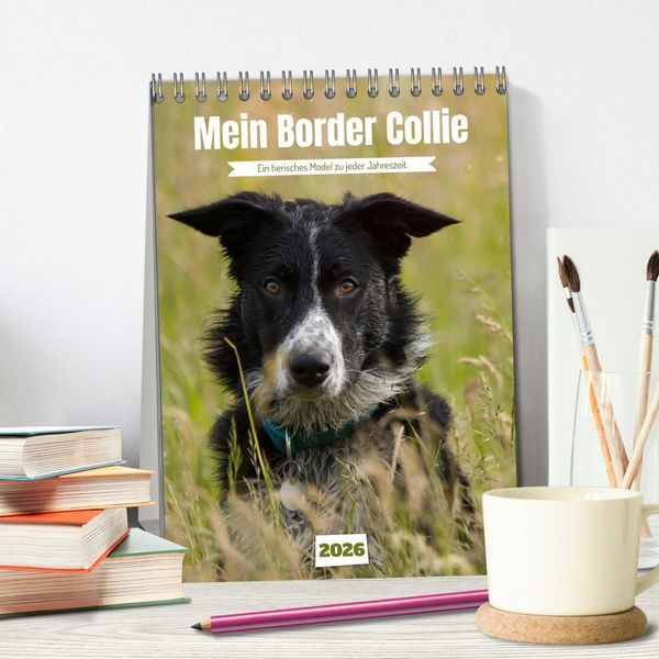 Produktbild: Mein Border Collie (Tischkalender 2026 DIN A5 hoch), CALVENDO Monatskalender