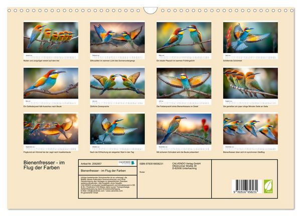 Produktbild: Bienenfresser - im Flug der Farben (Wandkalender 2026 DIN A3 quer), CALVENDO Monatskalender