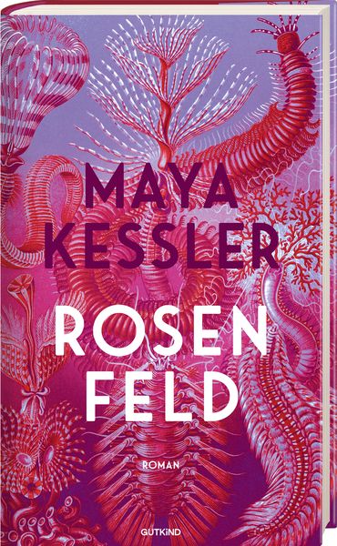 Produktbild: Rosenfeld